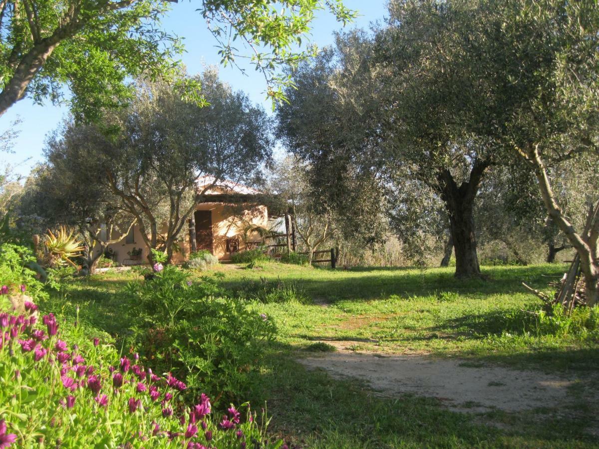 B&B Sa Ingia Кабрас Экстерьер фото